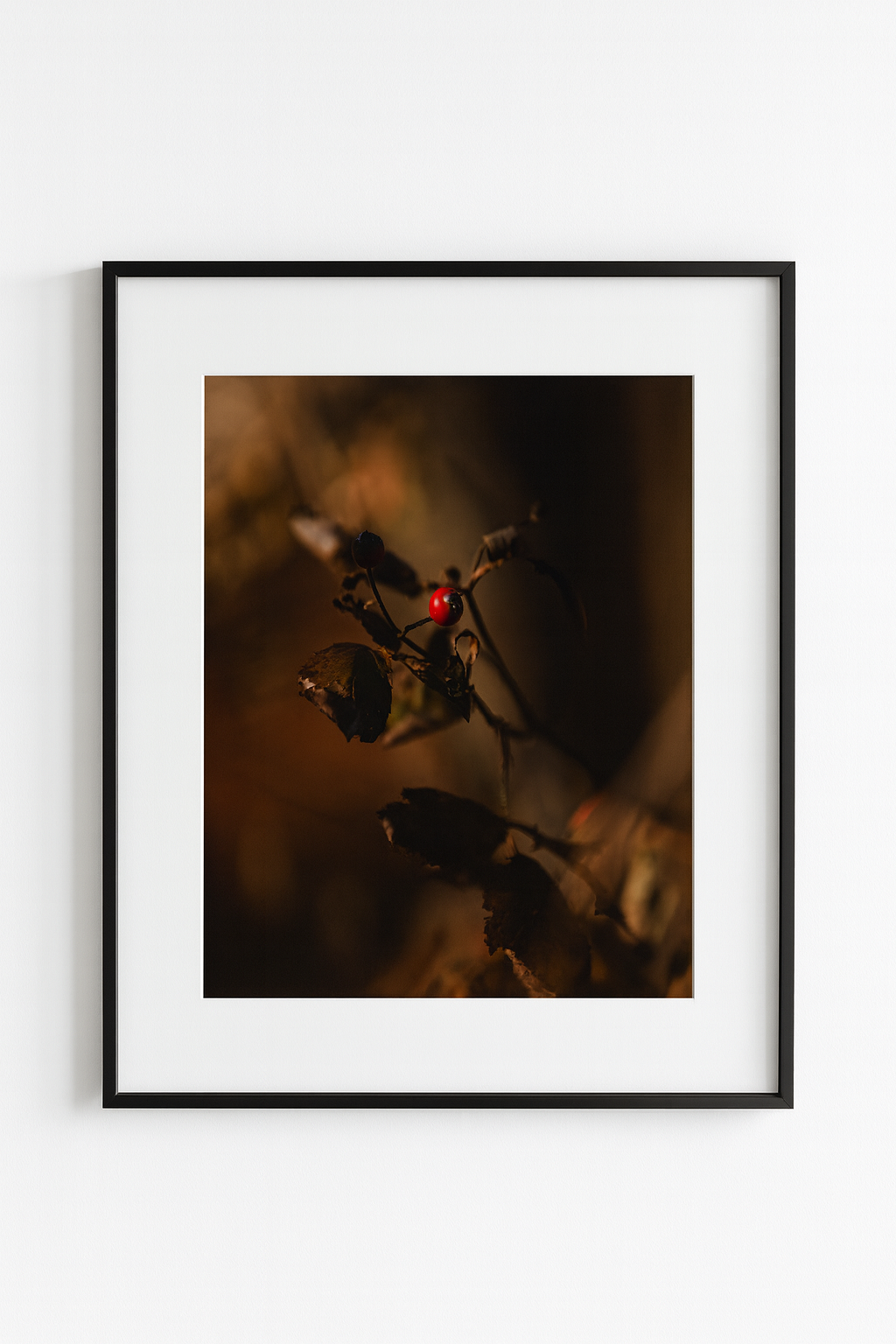 To Be Seen — Fine Art Print