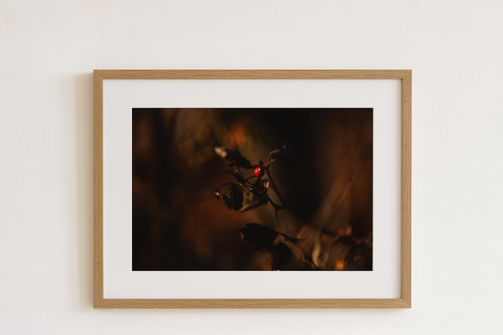 To Be Seen — Fine Art Print