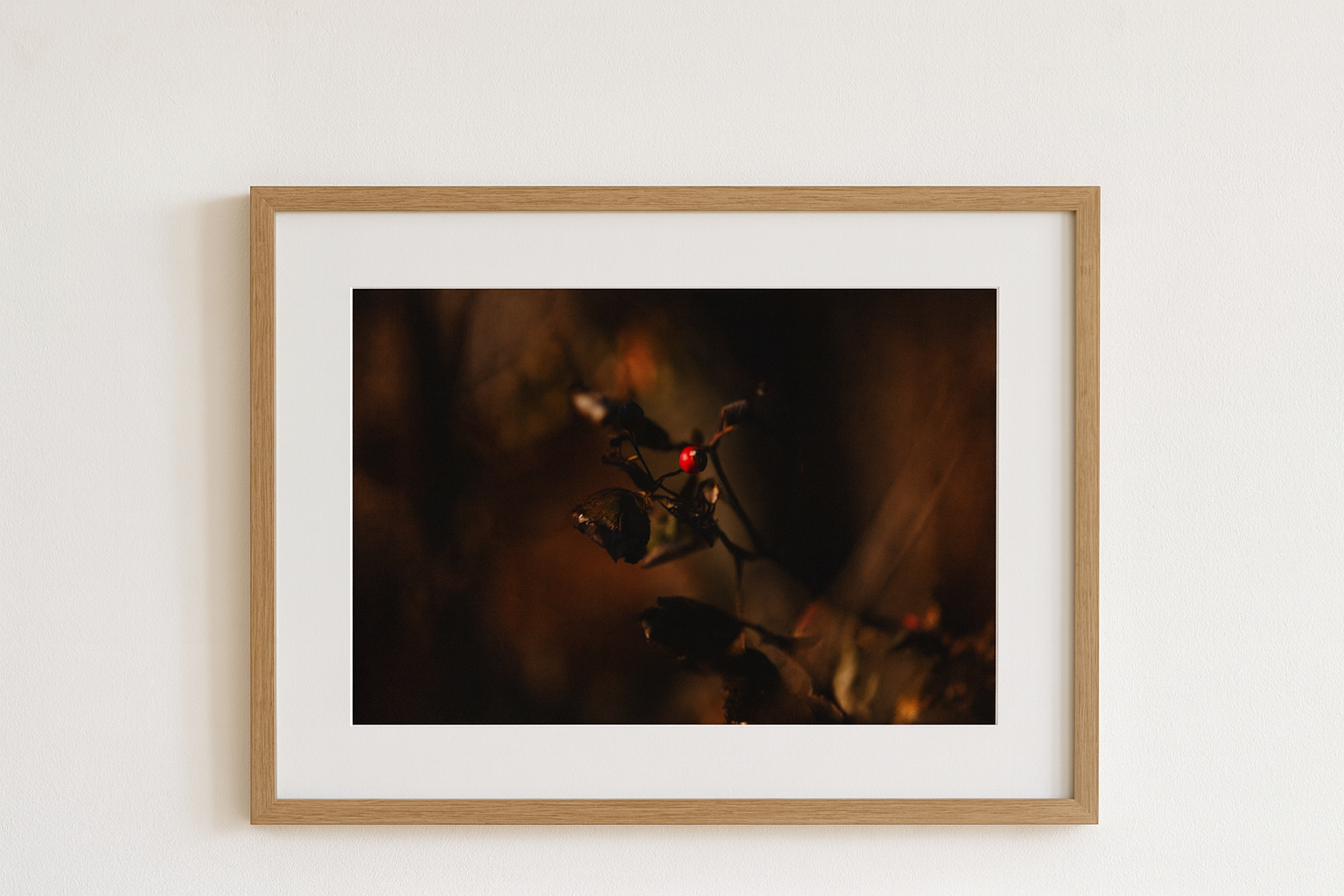 To Be Seen — Fine Art Print