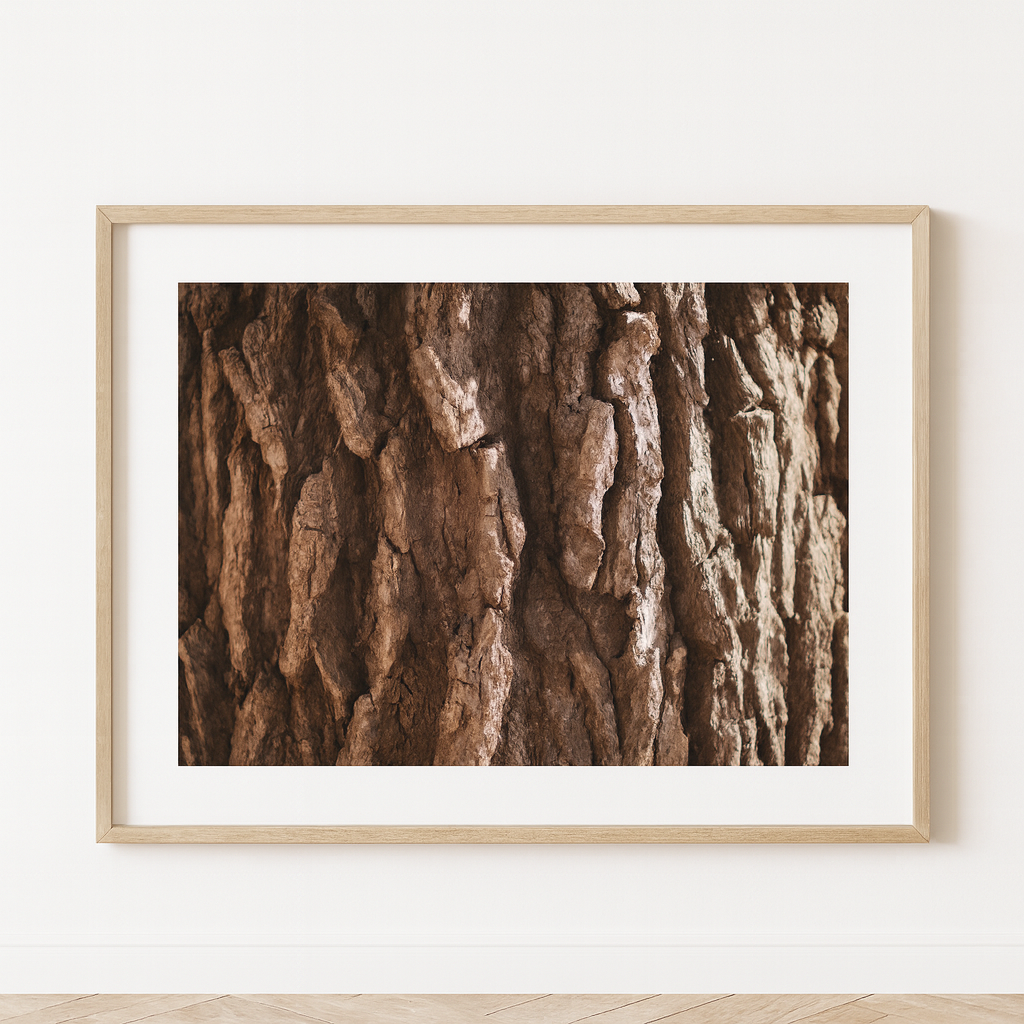 Woodskin — Fine Art Print