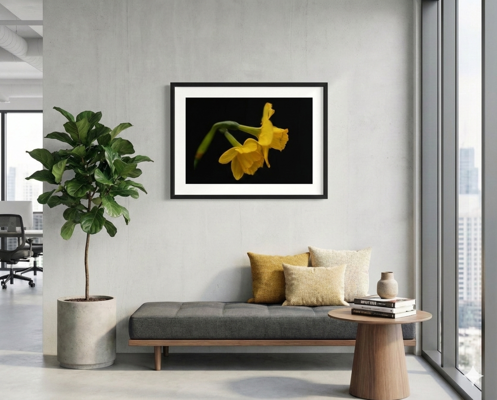 Two in Bloom – Limited Edition Fine Art Print