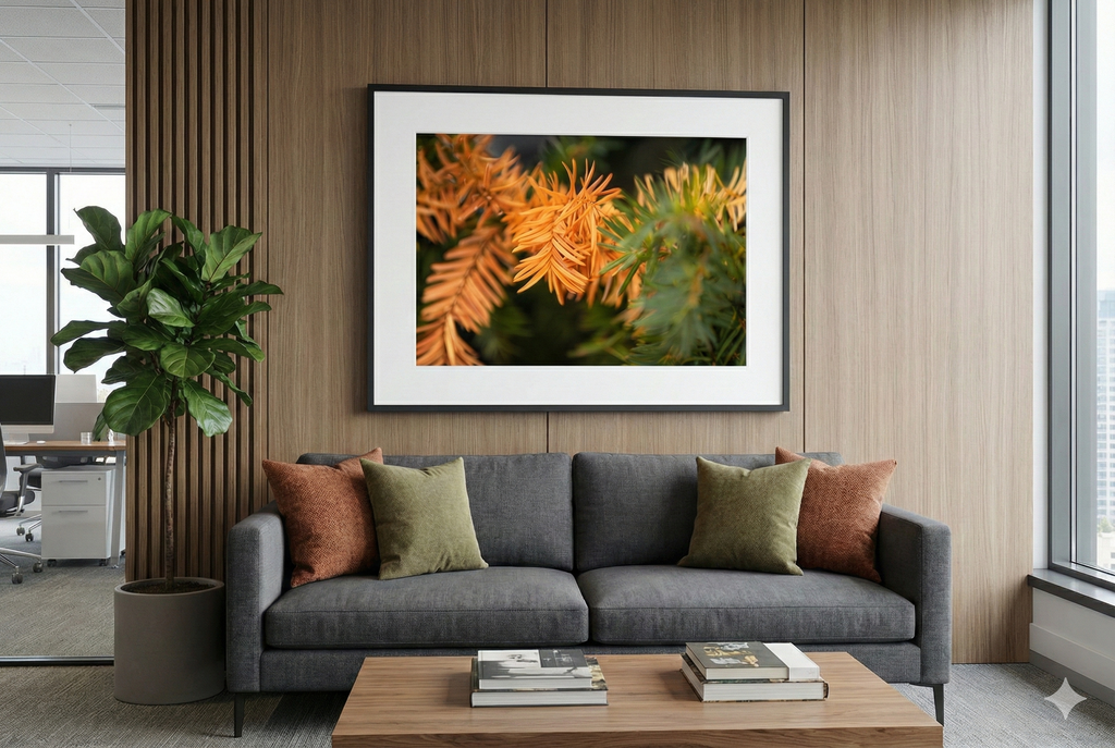 Last Light of Winter