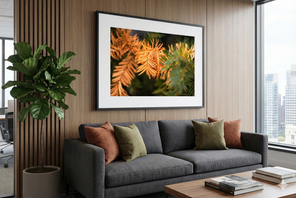 Last Light of Winter