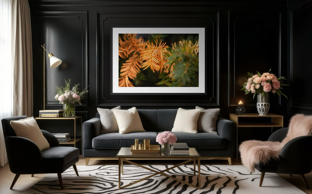 Last Light of Winter