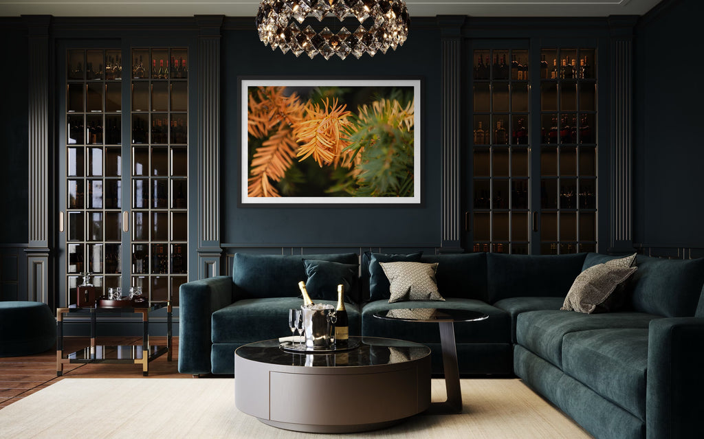 Last Light of Winter