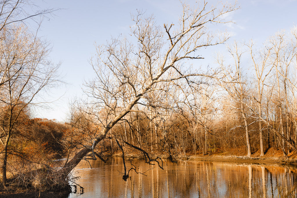 Still Standing — Fine Art Print