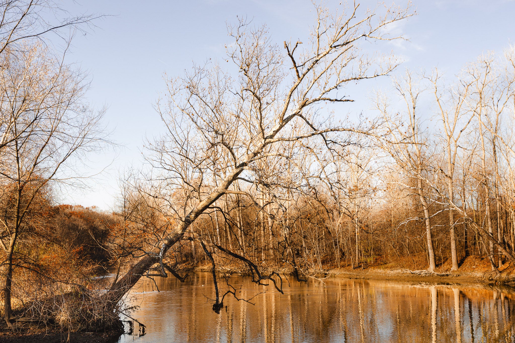 Riverside Trio — Archival Prints (Unframed)