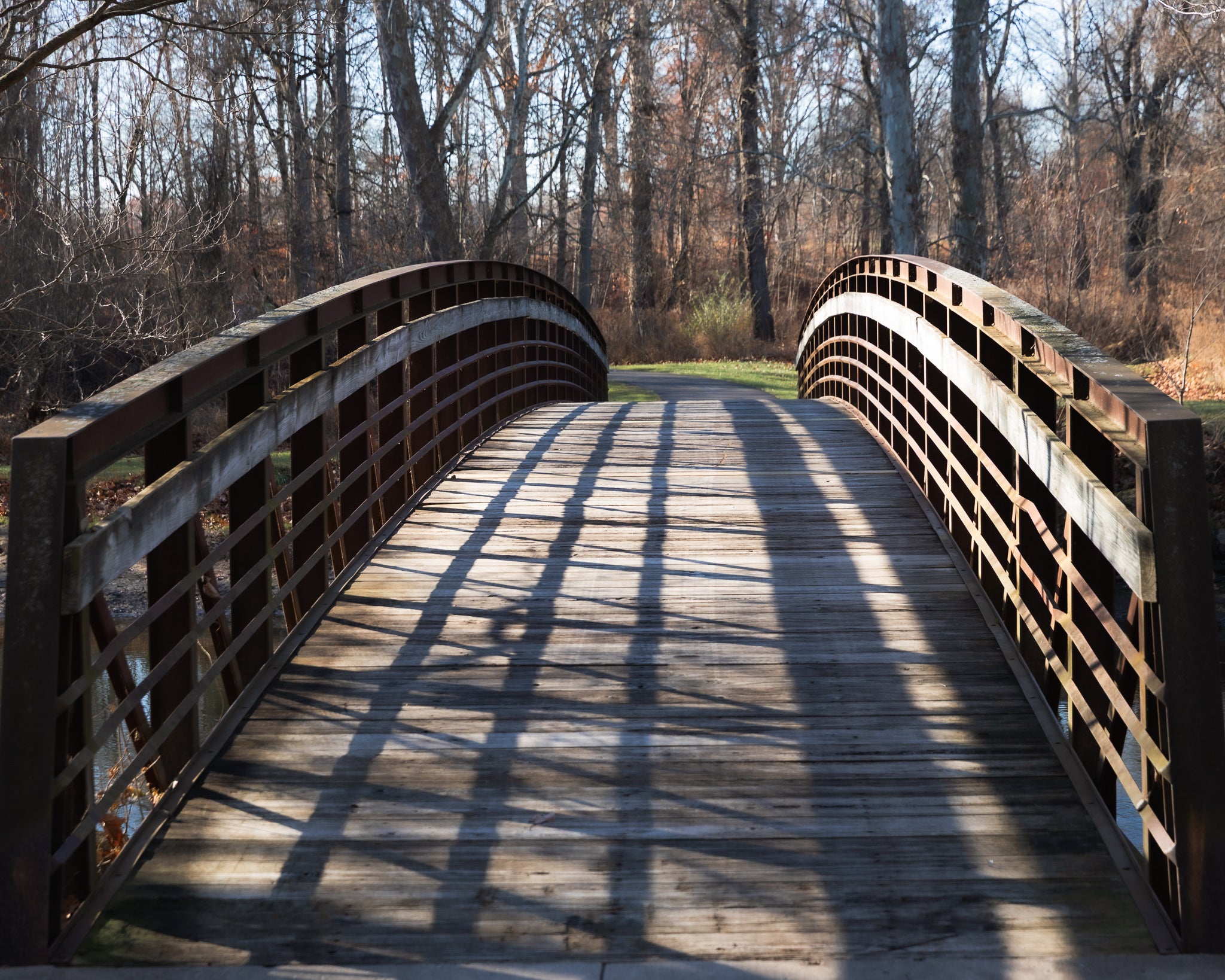 Riverside Trio — Archival Prints (Unframed)